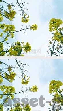 成人免费在线视频大全-解锁娱乐新视界，成人免费在线视频大全的多元探索