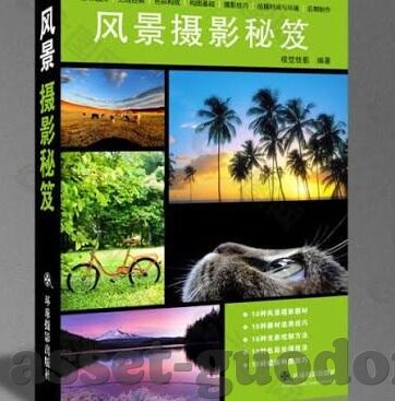 韩国伦理片在线播放-韩国伦理片，在线观看的多元视角与文化探讨