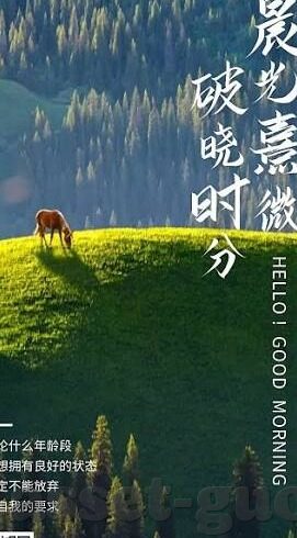 麻豆视频在线app-视界新宠，解锁麻豆视频在线App的精彩纷呈