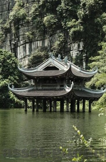 人妻白浆-细腻情感与家庭温情，人妻白浆的温馨篇章