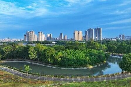 www日韩av在线-探索成人娱乐的边界，日韩AV在线的多元视角