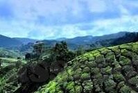 一区二区三区在线-数字时代的分区探索，一区二区三区在线的多元应用与影响